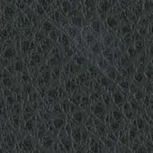 Dark gray textured material with dense, irregular interwoven pattern resembling crocodile skin, featuring imprinted text “swan > leather”.